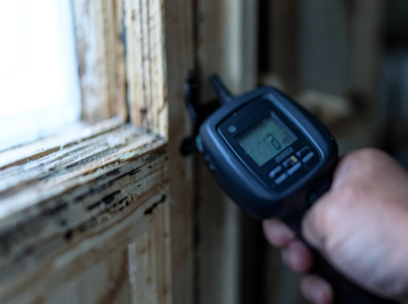 Moisture Inspection And Documentation in Presque Isle, MI